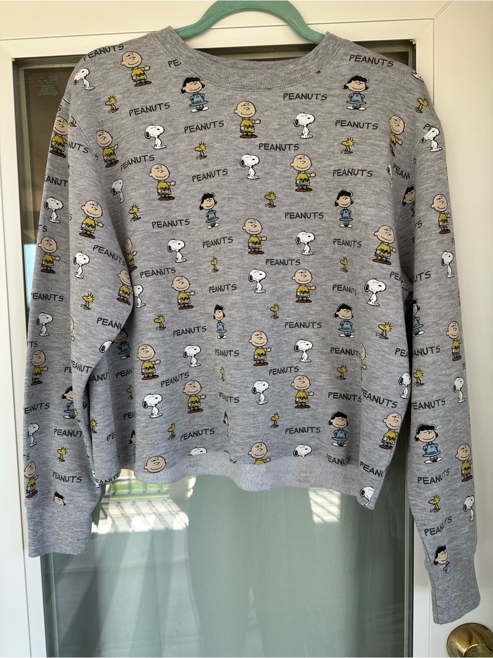 Peanuts Gray Crewneck Sweatshirt with All-Over Character Print